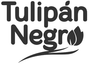 Tulipan Negro